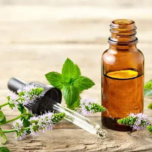 Cách Làm Tinh Dầu Đuổi Muỗi Cho Bé An Toàn, Hiệu Quả Tại Nhà