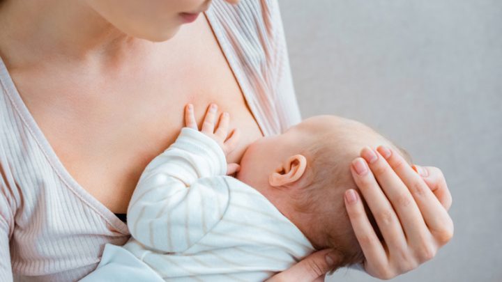 Cách Tiêu Sữa Bằng Lá Dâu Tằm An Toàn, Hiệu Quả