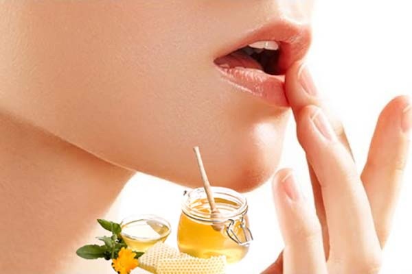 Dầu dừa và dầu ô liu cấp ẩm sâu, phục hồi môi khô