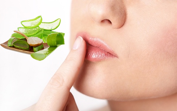 Dưa chuột và dầu oliu giúp cấp ẩm và làm dịu môi hiệu quả