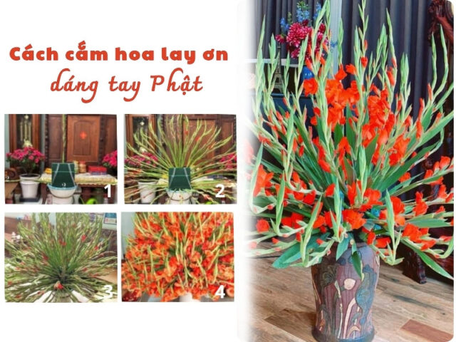 Cắm Hoa Lay Ơn Ngày Tết: Nghệ Thuật Trang Trí Đón Xuân Tài Lộc
