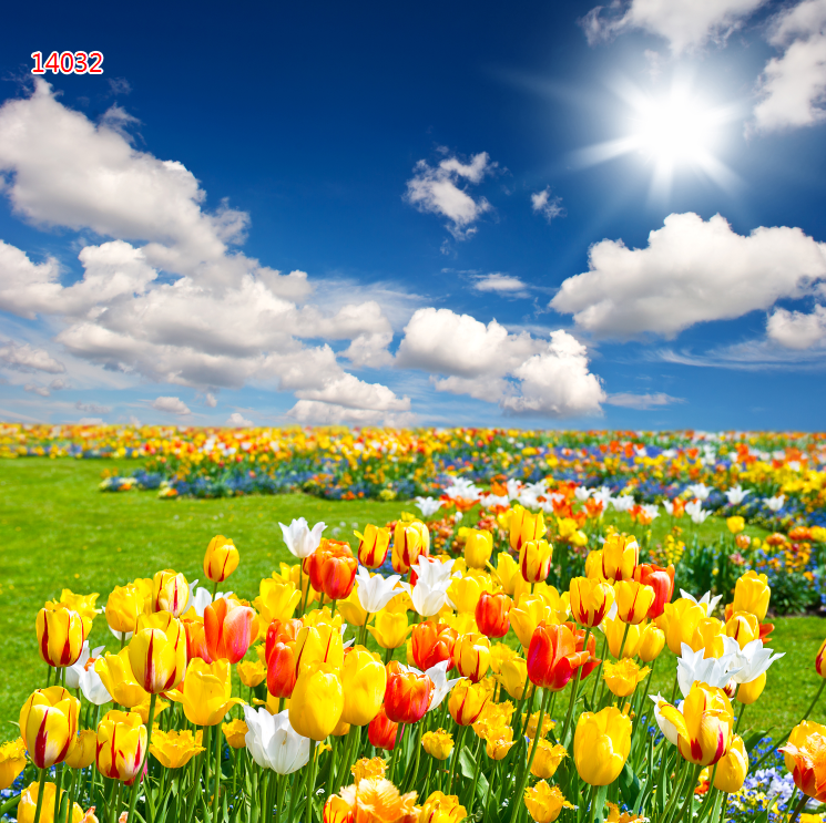 Tranh Vẽ Cánh Đồng Hoa Tulip: Tuyệt Tác Trang Trí Nghệ Thuật Và Ý Nghĩa Sâu Sắc