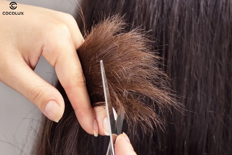 Cắt tỉa tóc chẻ ngọn là bước đầu để điều trị tóc khô xơ