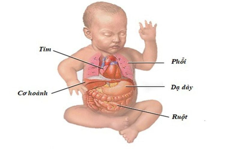 Sữa Pediasure cho trẻ 6 tháng tuổi: Chuyên gia dinh dưỡng phân tích