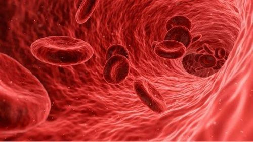 Thực phẩm bổ sung chất xơ: Hướng dẫn toàn diện cho sức khỏe bé yêu