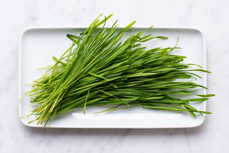 Chế biến cỏ lúa mạch đúng cách để đạt hiệu quả khi sử dụng