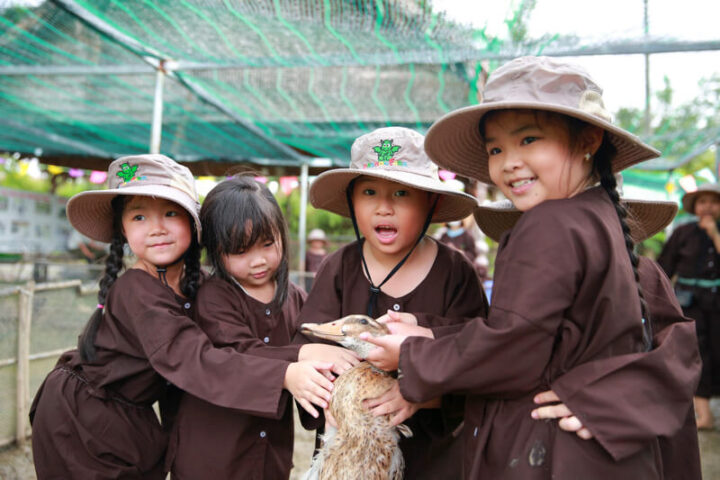 Cho trẻ tiếp xúc với động vật để khơi gợi tình yêu thương