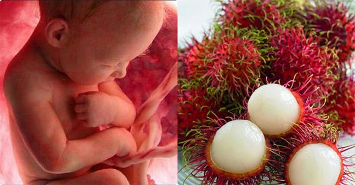 Chôm chôm giàu sắt tốt cho mẹ bầu 5 tháng và thai nhi