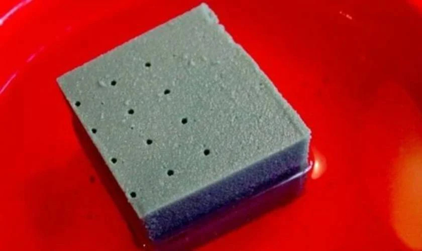 Chuẩn bị hoa lay ơn và xốp cắm để thực hiện cách cắm hoa bàn thờ đẹp ngày Tết