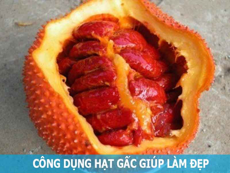 công dụng hạt gấc trong làm đẹp da tự nhiên