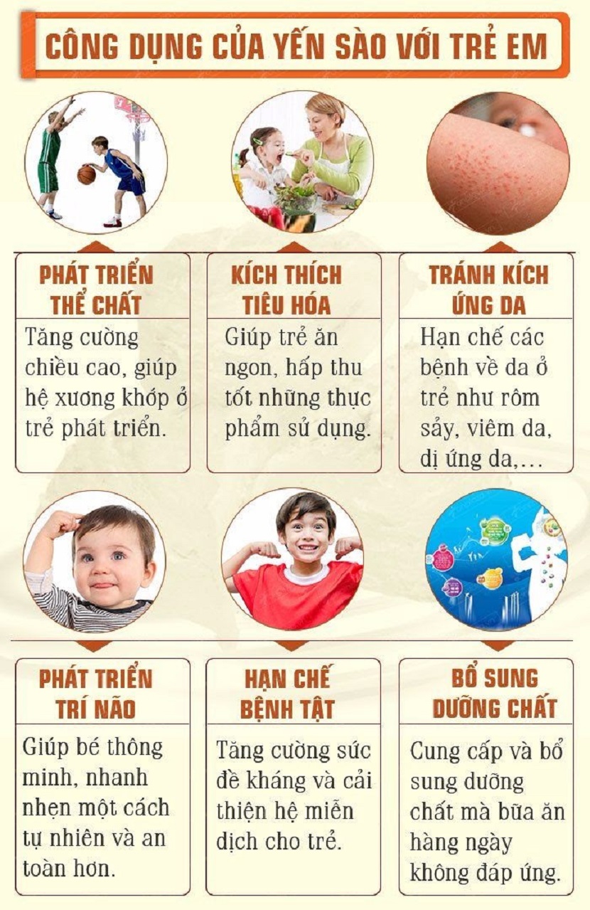 Thời điểm yến sào phát huy tác dụng: Hướng dẫn chi tiết