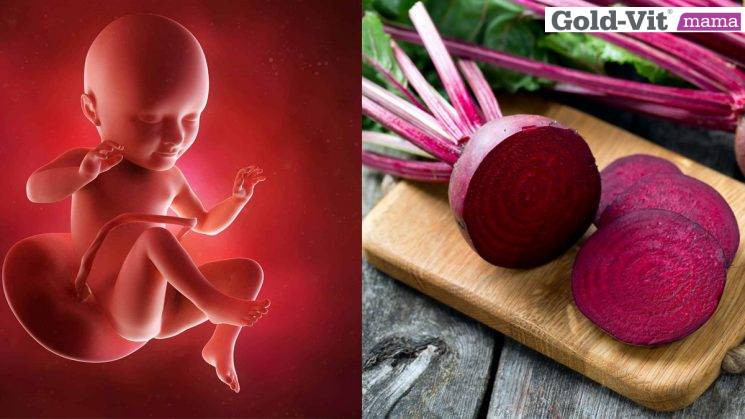 Cách Chế Biến Củ Dền Đỏ Thơm Ngon, Bổ Dưỡng Cho Mẹ Bầu