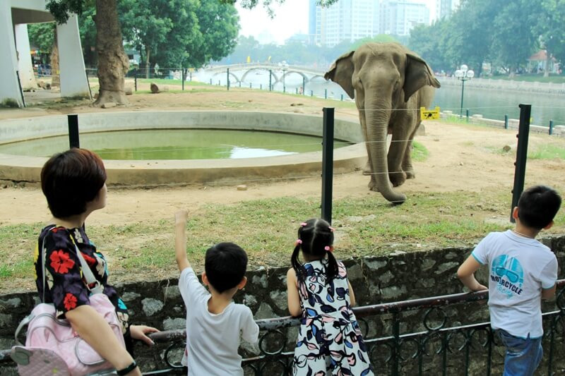 20+ Điểm Vui Chơi Cho Trẻ Ở Hà Nội: Khám Phá Địa Điểm Hấp Dẫn Nhất