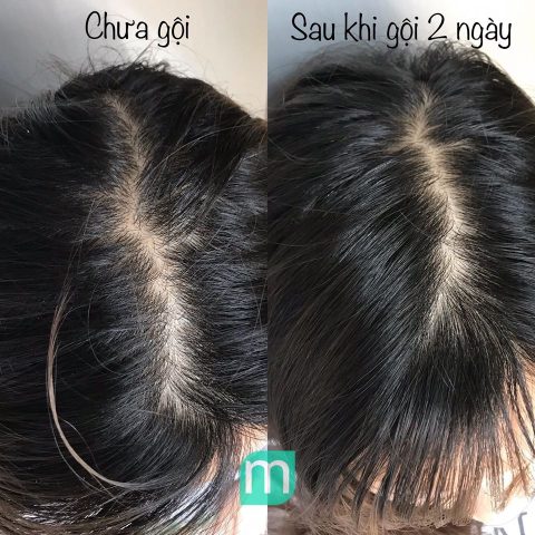 Review Dầu Gội Love Beauty and Planet: Đánh Giá Chi Tiết Nhất