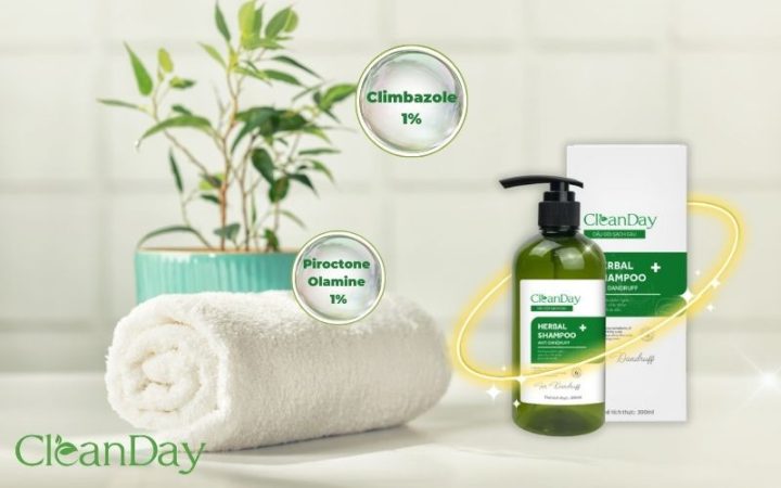 Dầu gội thảo dược trị gàu CleanDay chứa Piroctone Olamine và Climbazole, giúp loại bỏ nấm gây gàu hiệu quả