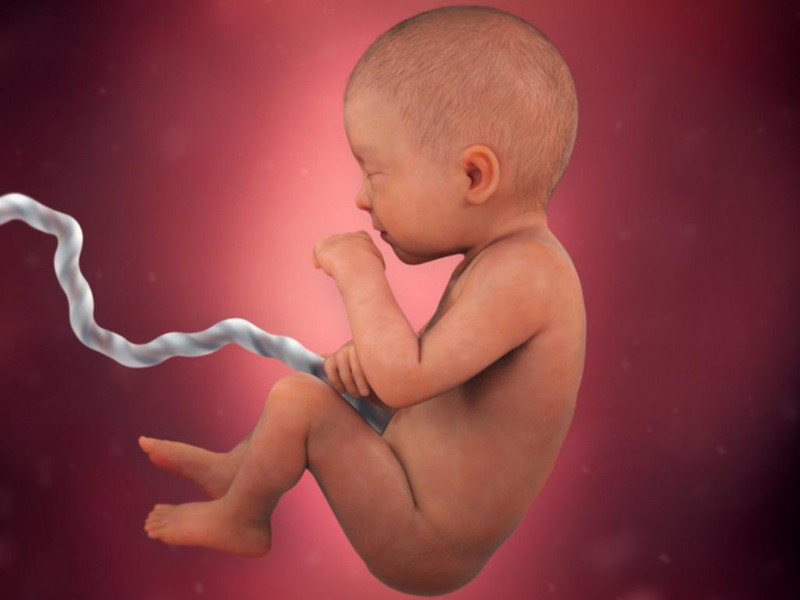 Rụng Rốn Ở Trẻ Sơ Sinh: Hướng Dẫn Chăm Sóc Toàn Diện