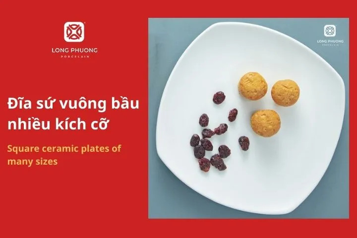 Đĩa sứ vuông bầu nhiều kích thước