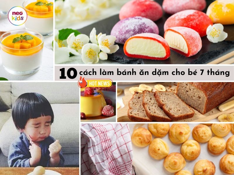 Các Loại Bánh Ăn Dặm Cho Bé 7 Tháng Tuổi An Toàn và Dinh Dưỡng