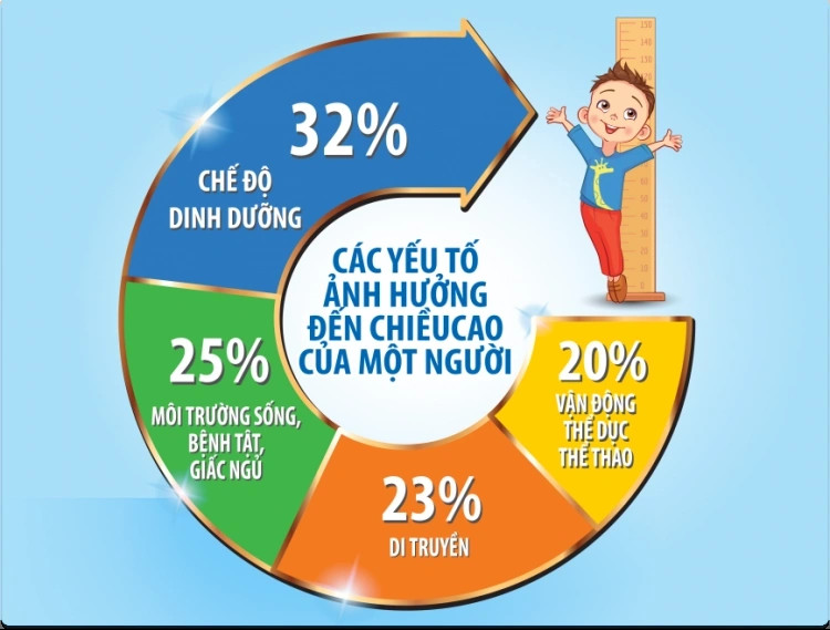 Dinh dưỡng là yếu tố quan trọng nhất ảnh hưởng chiều cao của trẻ