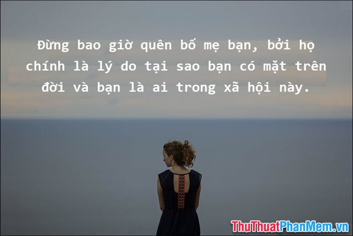 Bàn tay nhỏ bé của con nắm chặt tay mẹ, tượng trưng cho sự gắn kết và lòng biết ơn sâu sắc.