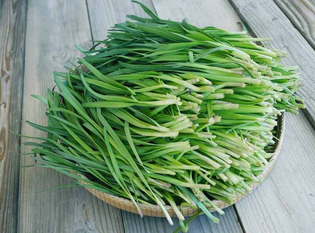 Lá hẹ trị ho cho trẻ: Hướng dẫn chi tiết an toàn hiệu quả