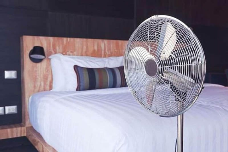 Cách Ngủ Không Bị Muỗi Đốt Hiệu Quả & An Toàn Tuyệt Đối