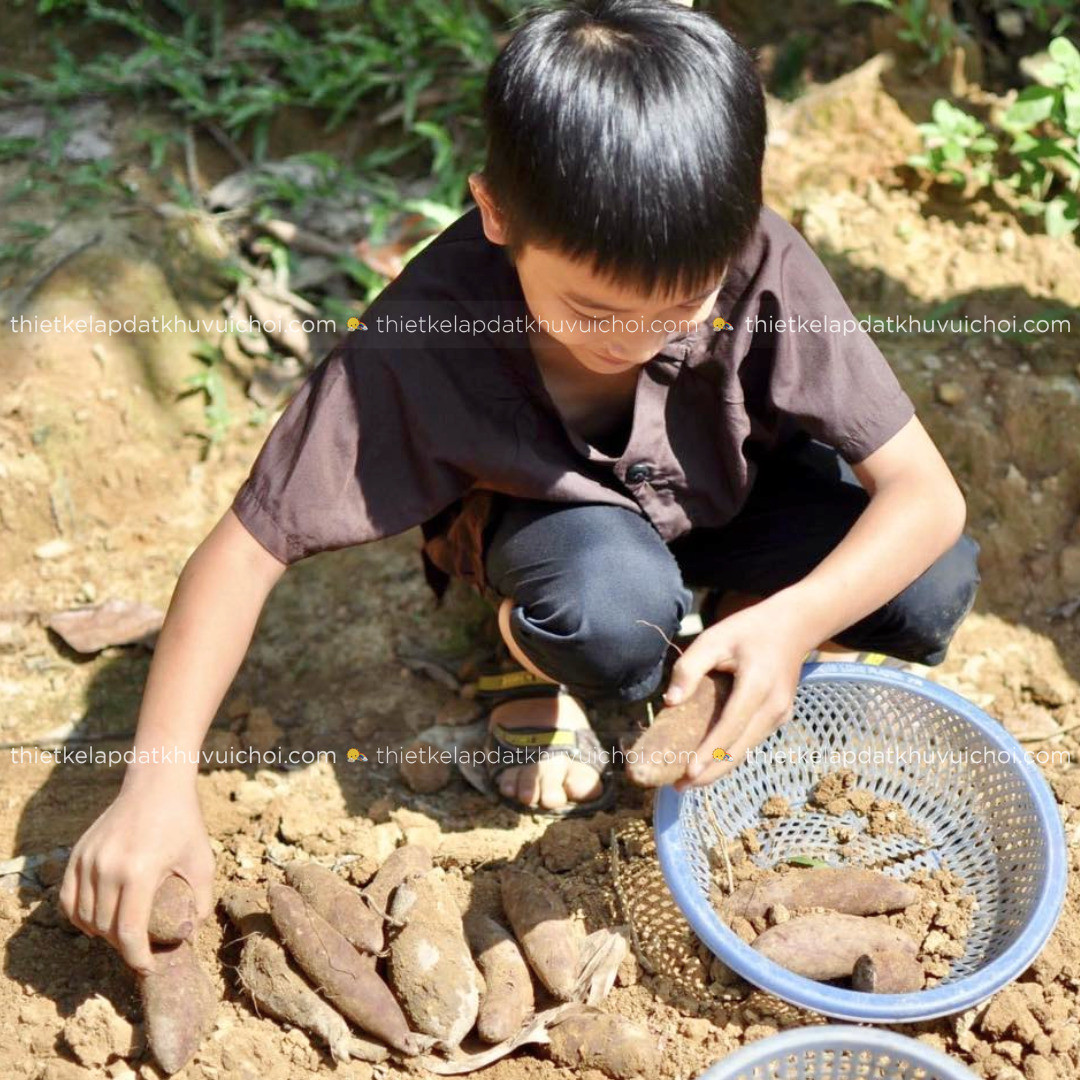 Gia đình cắm trại tại khu du lịch sinh thái Bản Rõm, tận hưởng không khí dã ngoại thanh bình