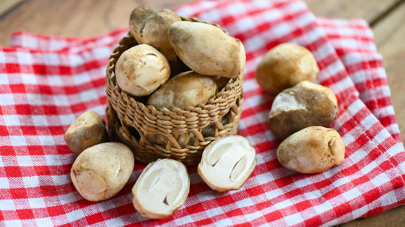 Bà bầu có nên ăn nấm rơm: Hướng dẫn đầy đủ từ A-Z