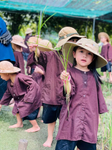Hoạt động ngoại khoá tạo cơ hội các bé hóa thân thành nông dân tại VAS