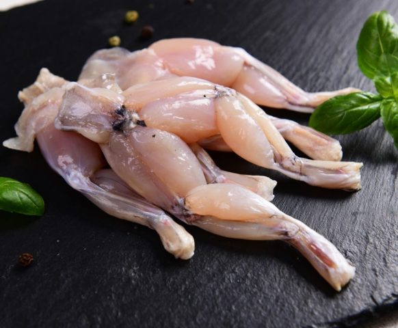 Thịt Ếch Kỵ Với Rau Gì? Hướng Dẫn Chi Tiết Để Chế Biến Món Ăn An Toàn Và Bổ Dưỡng