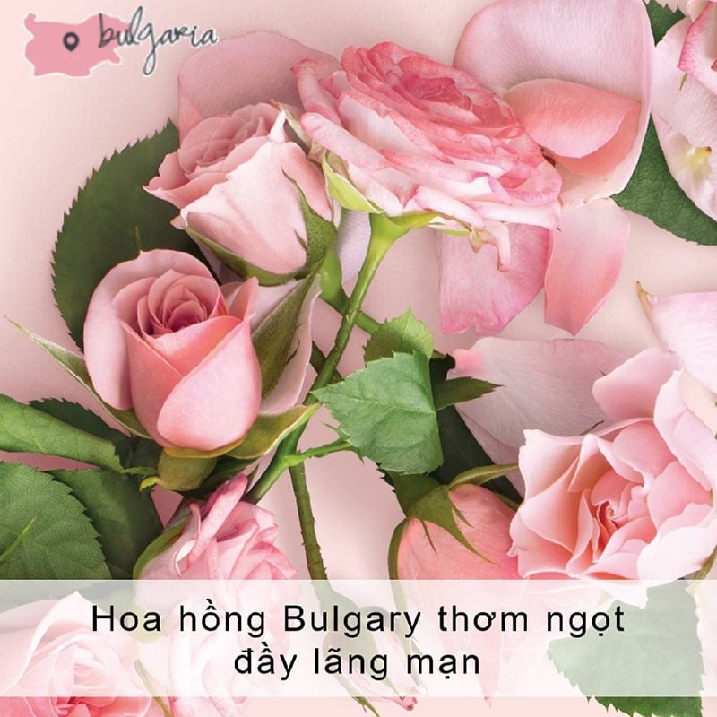 Hạt murumuru tự nhiên