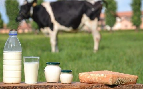 Dấu hiệu trẻ bị dị ứng đạm bò: Nhận biết, chẩn đoán và quản lý hiệu quả