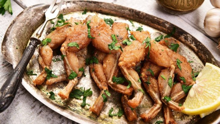 Hình ảnh mẹ bầu ăn ếch được không, thắc mắc chung về dinh dưỡng thai kỳ