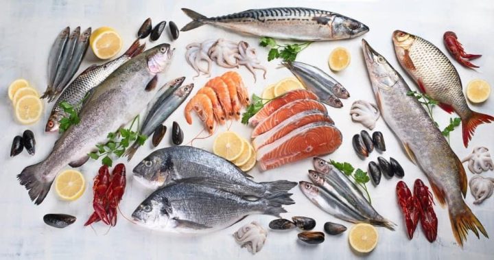 Các loại cá tốt cho bà bầu: Lựa chọn an toàn và dinh dưỡng
