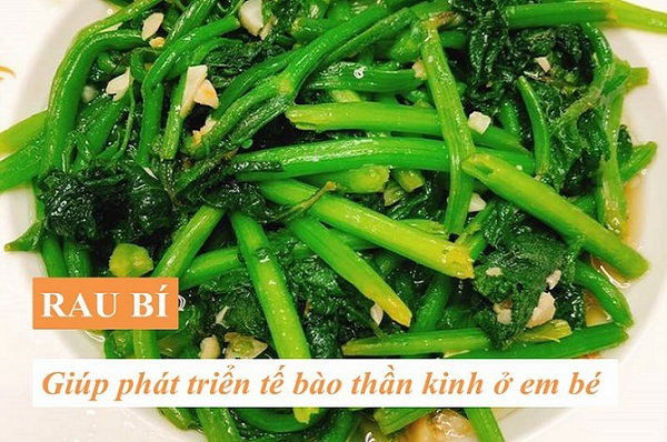 Hình ảnh minh họa mẹ sau sinh nên ăn rau xanh, bao gồm rau bí, để hỗ trợ giảm cân và phòng ngừa táo bón hiệu quả.