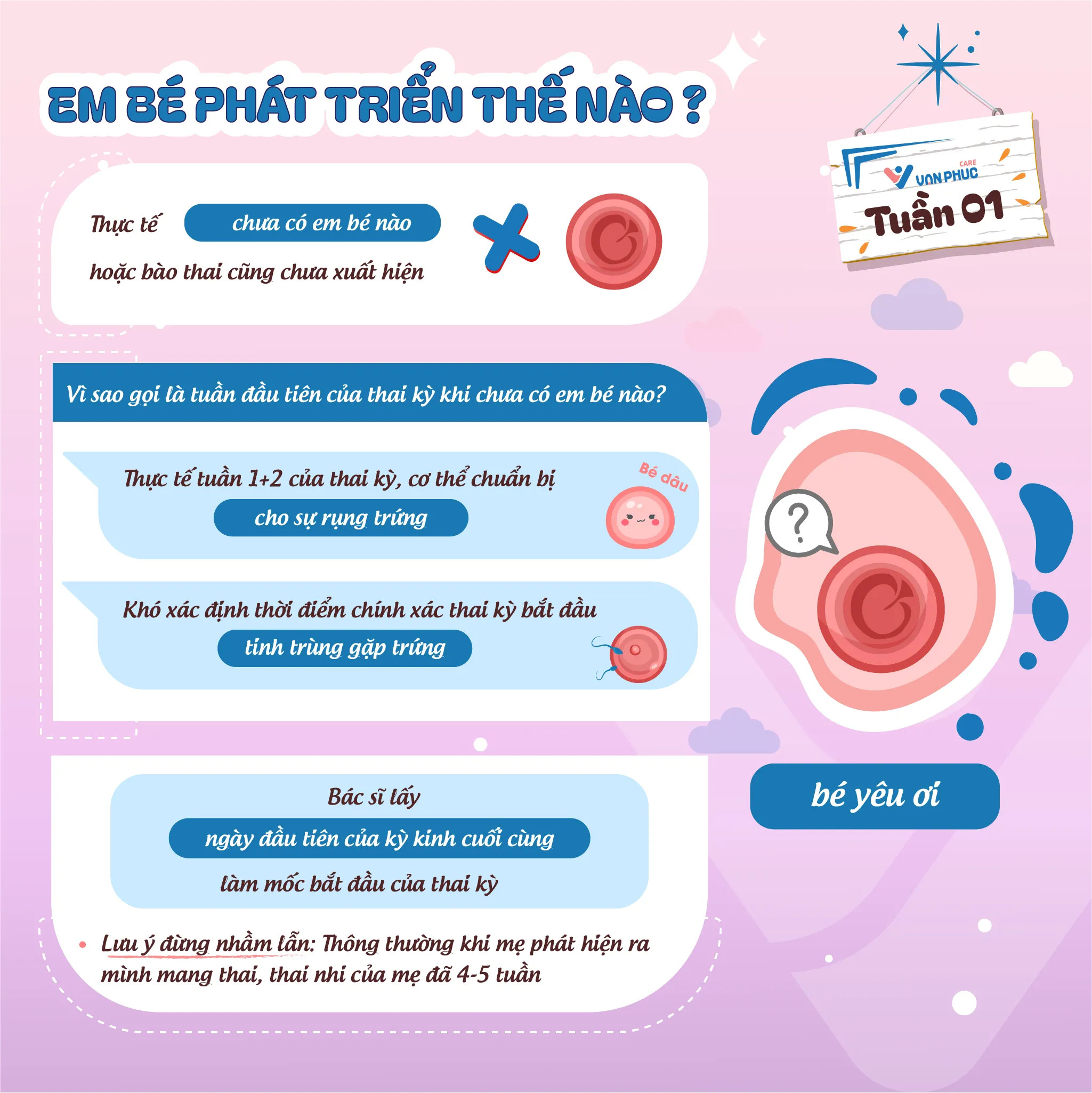 Hình Ảnh Thai 1 Tuần Tuổi: Điều Mẹ Cần Biết Rõ Nhất