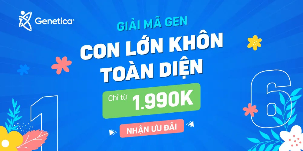 Hình ảnh minh họa tổng quan về Vitamin B2 có trong thực phẩm nào và cách bổ sung