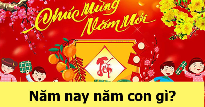 Năm Nay Là Năm Con Gì 2025: Giải Đáp Chi Tiết Về Tuổi Ất Tỵ