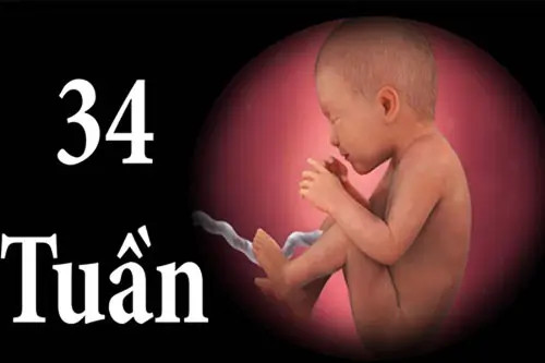 34 Tuần Là Bao Nhiêu Tháng: Cẩm Nang Toàn Diện Cho Mẹ Bầu