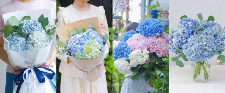 Bó hoa cẩm tú cầu đa sắc tươi tắn, mang đến niềm vui sâu sắc và tình yêu thương, là món quà đẹp để mừng ngày Phụ Nữ Việt Nam 20/10 cho người phụ nữ thân yêu.