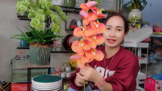 Cách Cắm Hoa Lan Hồ Điệp Đẹp Mắt, Bền Lâu Từ A-Z