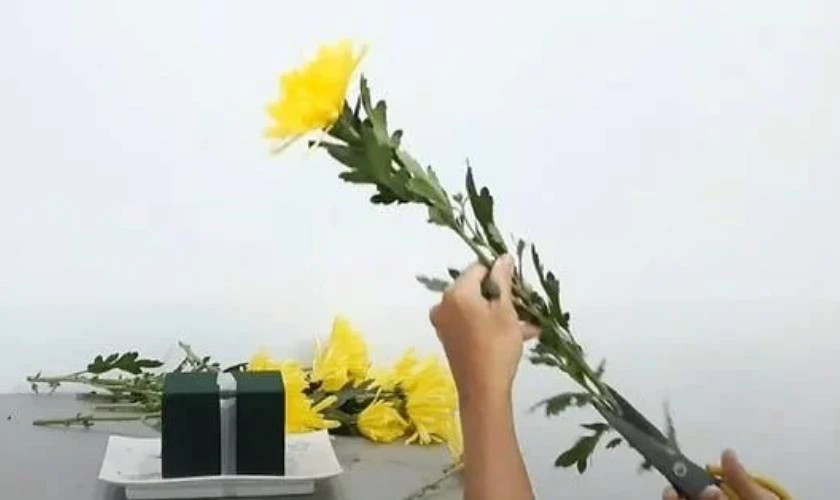 Hướng dẫn cách cắm hoa cúc bàn thờ đẹp với các bước cơ bản để hoa tươi lâu