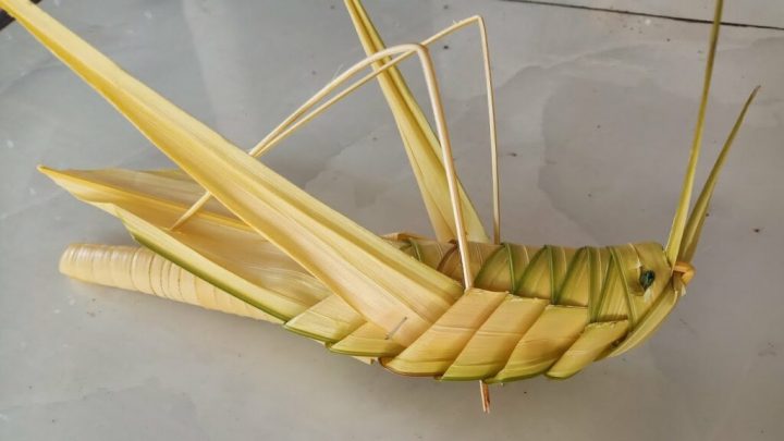 Hướng dẫn làm cào cào bằng lá dừa từng bước