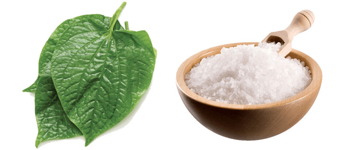 Hướng dẫn làm đẹp da bằng lá lốt kết hợp muối tinh