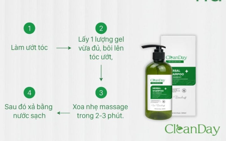 Hướng dẫn sử dụng dầu gội thảo dược trị gàu CleanDay đúng cách để đạt hiệu quả tối ưu