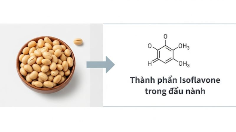 Làm Trắng Da Với Sữa Đậu Nành: Bí Quyết Toàn Diện Từ A-Z