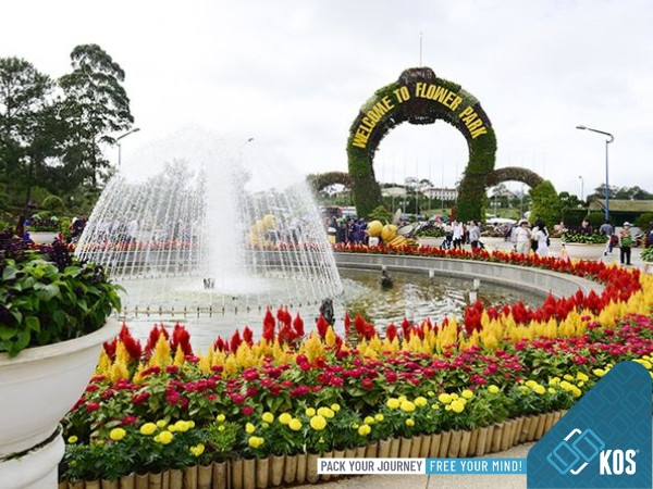 Khung cảnh lãng mạn của Đà Lạt với sương mù và kiến trúc cổ kính, một lựa chọn tuyệt vời khi nên đưa bố mẹ đi du lịch ở đâu để nghỉ dưỡng và khám phá