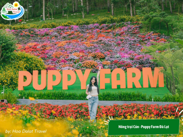 Khuôn viên rộng lớn của Nông trại Cún - Puppy Farm, một khu vui chơi trẻ em ở Đà Lạt