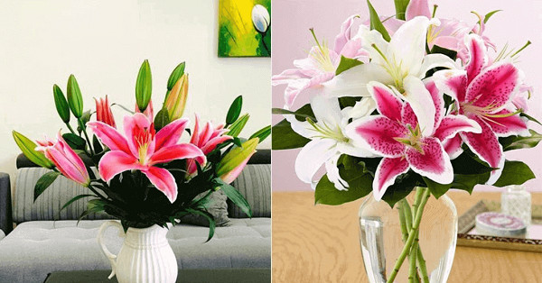 Cách Cắm Hoa Ly Đẹp Để Bàn Thờ Chuẩn Phong Thủy, Tươi Lâu