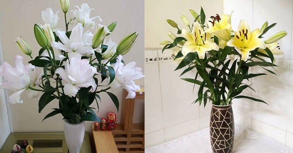 Cách Cắm Hoa Ly Đẹp Để Bàn Thờ Chuẩn Phong Thủy, Tươi Lâu